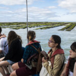 Sul Informação - “Mid Season Campus” leva potenciais alunos estrangeiros da UAlg a conhecer a Ria Formosa