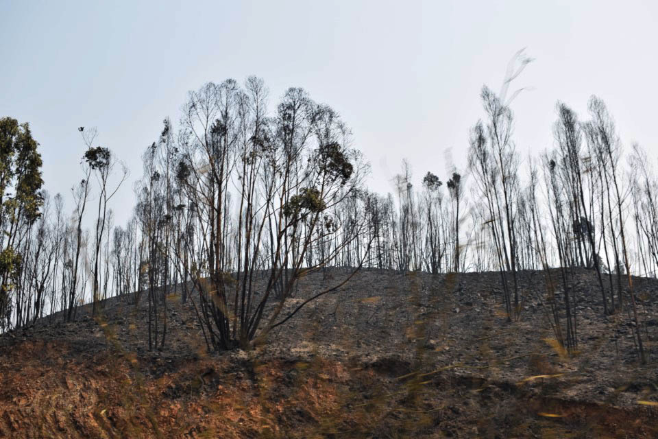 Sul Informação - Monchique viu o fogo passar e deixar uma destruição maior «que a de 2003»