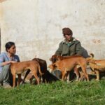 Sul Informação - Rememorar sons e gestos na paisagem, com Eva Poro no Monte Paraíso