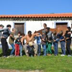 Sul Informação - Rememorar sons e gestos na paisagem, com Eva Poro no Monte Paraíso