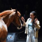 Sul Informação - Viagem poética ao encontro da “bestia” que há dentro de cada um de nós [fotogaleria e vídeo]