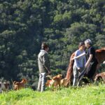 Sul Informação - Rememorar sons e gestos na paisagem, com Eva Poro no Monte Paraíso