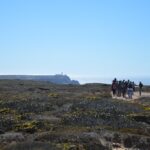 Sul Informação - Gente de toda a Europa de binóculos nos olhos para ver as aves em Sagres