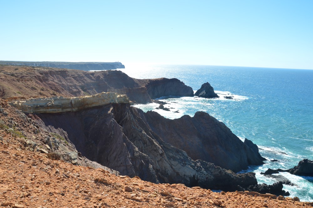 Sul Informação - Gente de toda a Europa de binóculos nos olhos para ver as aves em Sagres