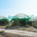 Sul Informação - Juntos pelo Sudoeste quer obrigar CCDR Alentejo a avaliar impacte ambiental das estufas no Parque Natural