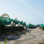 Sul Informação - Juntos pelo Sudoeste quer obrigar CCDR Alentejo a avaliar impacte ambiental das estufas no Parque Natural