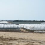Sul Informação - Juntos pelo Sudoeste quer obrigar CCDR Alentejo a avaliar impacte ambiental das estufas no Parque Natural