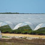 Sul Informação - Juntos pelo Sudoeste quer obrigar CCDR Alentejo a avaliar impacte ambiental das estufas no Parque Natural