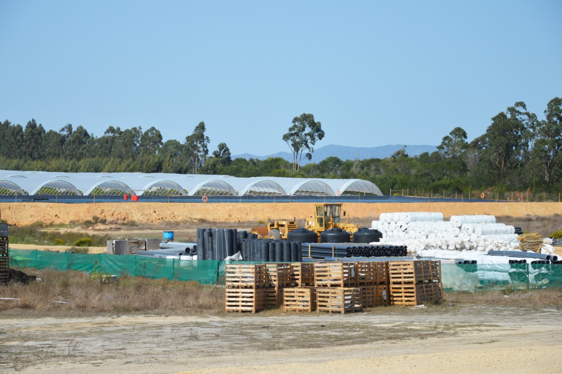 Sul Informação - Juntos pelo Sudoeste quer obrigar CCDR Alentejo a avaliar impacte ambiental das estufas no Parque Natural