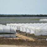 Sul Informação - Juntos pelo Sudoeste quer obrigar CCDR Alentejo a avaliar impacte ambiental das estufas no Parque Natural
