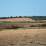 Sul Informação - Juntos pelo Sudoeste quer obrigar CCDR Alentejo a avaliar impacte ambiental das estufas no Parque Natural