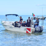 Sul Informação - Famílias e mergulhadores unem-se ao Zoomarine para limpar praias e o mar