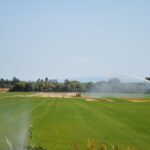 Sul Informação - Juntos pelo Sudoeste quer obrigar CCDR Alentejo a avaliar impacte ambiental das estufas no Parque Natural