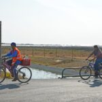 Sul Informação - Juntos pelo Sudoeste quer obrigar CCDR Alentejo a avaliar impacte ambiental das estufas no Parque Natural