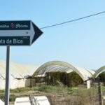 Sul Informação - Juntos pelo Sudoeste quer obrigar CCDR Alentejo a avaliar impacte ambiental das estufas no Parque Natural