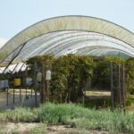 Sul Informação - Juntos pelo Sudoeste quer obrigar CCDR Alentejo a avaliar impacte ambiental das estufas no Parque Natural