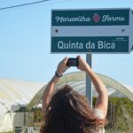 Sul Informação - Juntos pelo Sudoeste quer obrigar CCDR Alentejo a avaliar impacte ambiental das estufas no Parque Natural