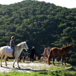 Sul Informação - Rememorar sons e gestos na paisagem, com Eva Poro no Monte Paraíso