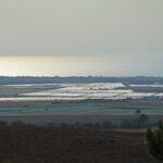 Sul Informação - Juntos pelo Sudoeste quer obrigar CCDR Alentejo a avaliar impacte ambiental das estufas no Parque Natural
