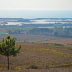 Sul Informação - Juntos pelo Sudoeste quer obrigar CCDR Alentejo a avaliar impacte ambiental das estufas no Parque Natural