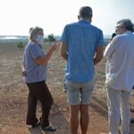 Sul Informação - Juntos pelo Sudoeste quer obrigar CCDR Alentejo a avaliar impacte ambiental das estufas no Parque Natural