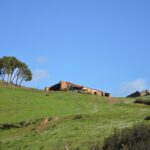 Sul Informação - Rememorar sons e gestos na paisagem, com Eva Poro no Monte Paraíso