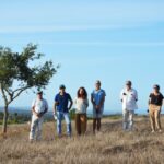 Sul Informação - Juntos pelo Sudoeste quer obrigar CCDR Alentejo a avaliar impacte ambiental das estufas no Parque Natural