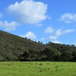 Sul Informação - Rememorar sons e gestos na paisagem, com Eva Poro no Monte Paraíso