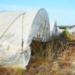 Sul Informação - Juntos pelo Sudoeste quer obrigar CCDR Alentejo a avaliar impacte ambiental das estufas no Parque Natural
