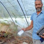 Sul Informação - Juntos pelo Sudoeste quer obrigar CCDR Alentejo a avaliar impacte ambiental das estufas no Parque Natural