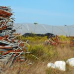 Sul Informação - Juntos pelo Sudoeste quer obrigar CCDR Alentejo a avaliar impacte ambiental das estufas no Parque Natural