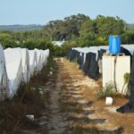 Sul Informação - Juntos pelo Sudoeste quer obrigar CCDR Alentejo a avaliar impacte ambiental das estufas no Parque Natural
