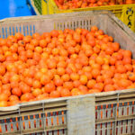 Sul Informação - Banco Alimentar contra a Fome: «Nunca é demais ajudar quem mais precisa»