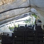 Sul Informação - Juntos pelo Sudoeste quer obrigar CCDR Alentejo a avaliar impacte ambiental das estufas no Parque Natural