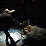 Sul Informação - Princesas, maçãs e coelhos gigantes no circo aéreo e cantado que agora ruma a Monchique