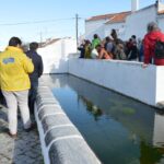 Sul Informação - Beja recebeu o Terras sem Sombra, festival nas transumâncias do mundo