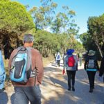 Sul Informação - Caminhadas, oficinas, artes e conversas marcam Walk&Art Fest de Barão de S. João