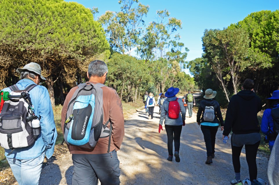Sul Informação - Caminhadas, oficinas, artes e conversas marcam Walk&Art Fest de Barão de S. João