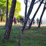 Sul Informação - Caminhadas, oficinas, artes e conversas marcam Walk&Art Fest de Barão de S. João