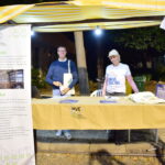 Sul Informação - Já se vai à FAVA em Loulé