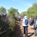 Sul Informação - Caminhadas, oficinas, artes e conversas marcam Walk&Art Fest de Barão de S. João