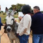 Sul Informação - Beja recebeu o Terras sem Sombra, festival nas transumâncias do mundo