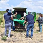 Sul Informação - Há mais um casal de linces-ibéricos a “viver” em Alcoutim [com vídeo]