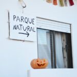 Sul Informação - Caminhadas, oficinas, artes e conversas marcam Walk&Art Fest de Barão de S. João