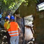 Sul Informação - Animais também são vítimas do incêndio, mas há equipas no terreno a resgatá-los