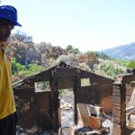Sul Informação - Animais também são vítimas do incêndio, mas há equipas no terreno a resgatá-los