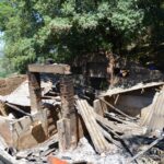 Sul Informação - Animais também são vítimas do incêndio, mas há equipas no terreno a resgatá-los