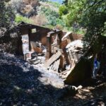 Sul Informação - Animais também são vítimas do incêndio, mas há equipas no terreno a resgatá-los