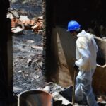 Sul Informação - Animais também são vítimas do incêndio, mas há equipas no terreno a resgatá-los