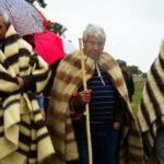 Sul Informação - Beja recebeu o Terras sem Sombra, festival nas transumâncias do mundo